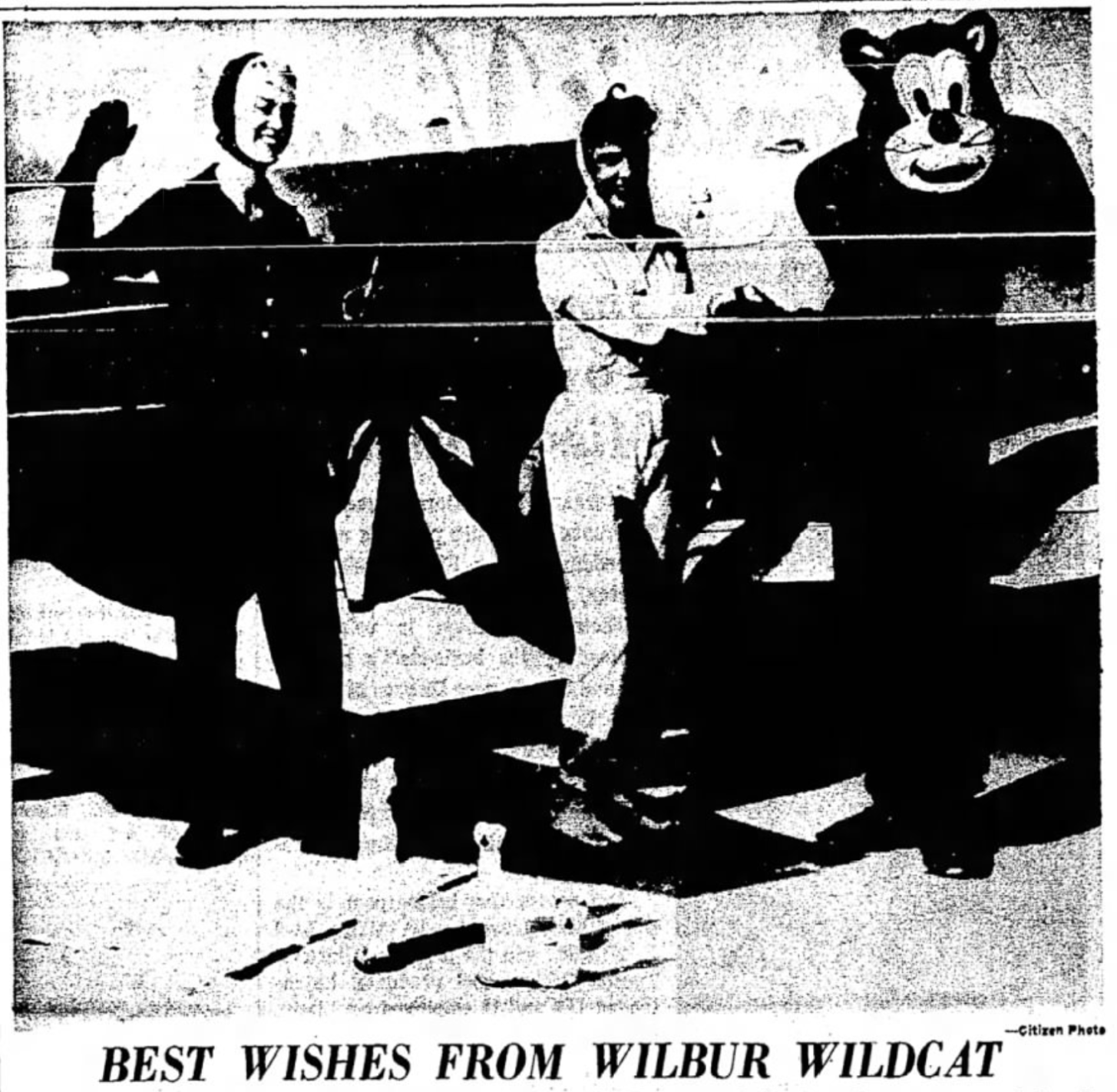 WIlbur T. Wildcat